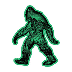 1446 - Big Foot - Wilderness Double Exposure