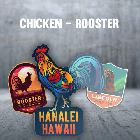 Chicken / Rooster