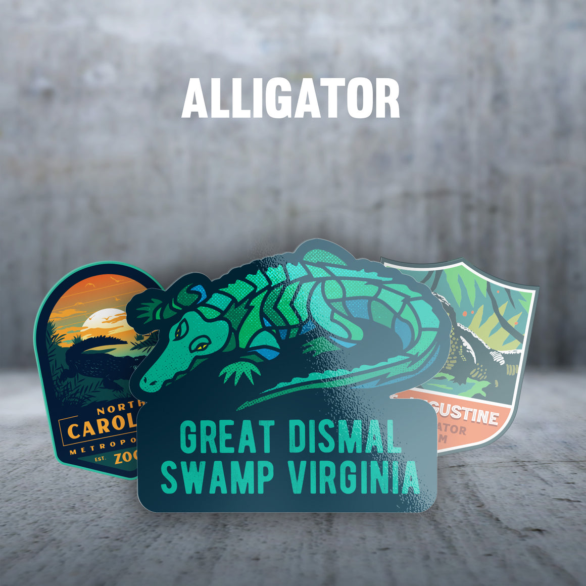Alligator