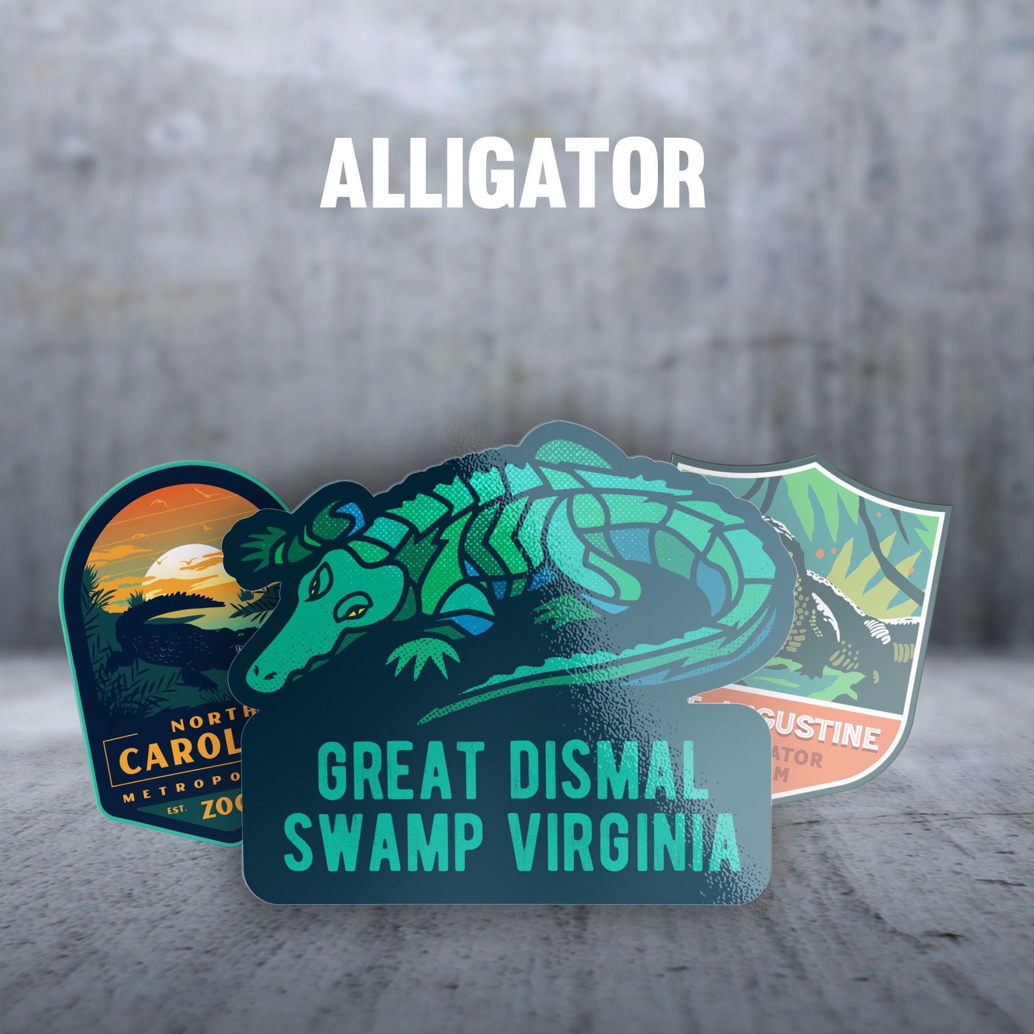 Alligator