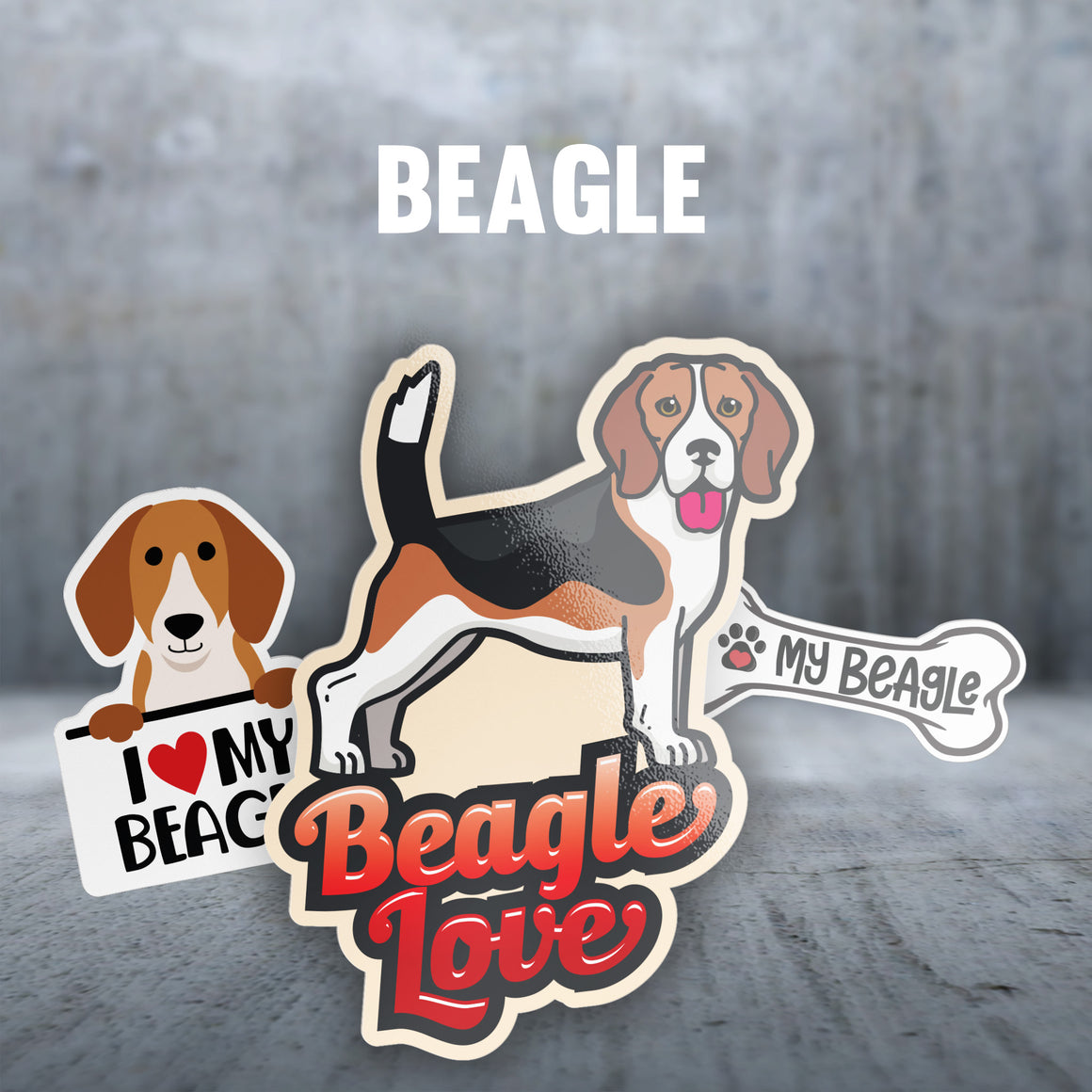 Beagle