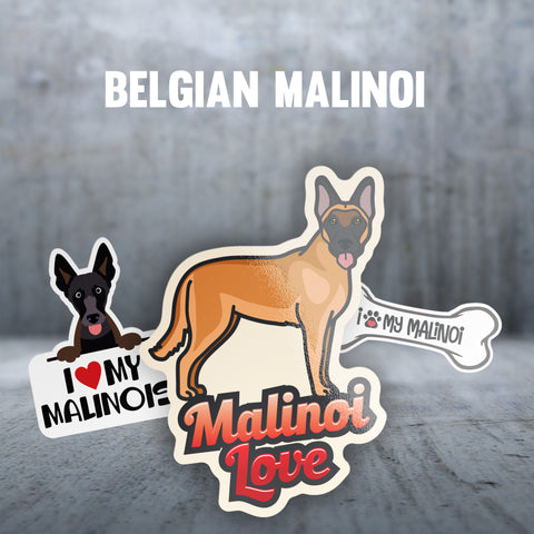 Belgian Malinoi