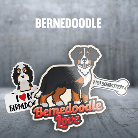 Bernedoodle