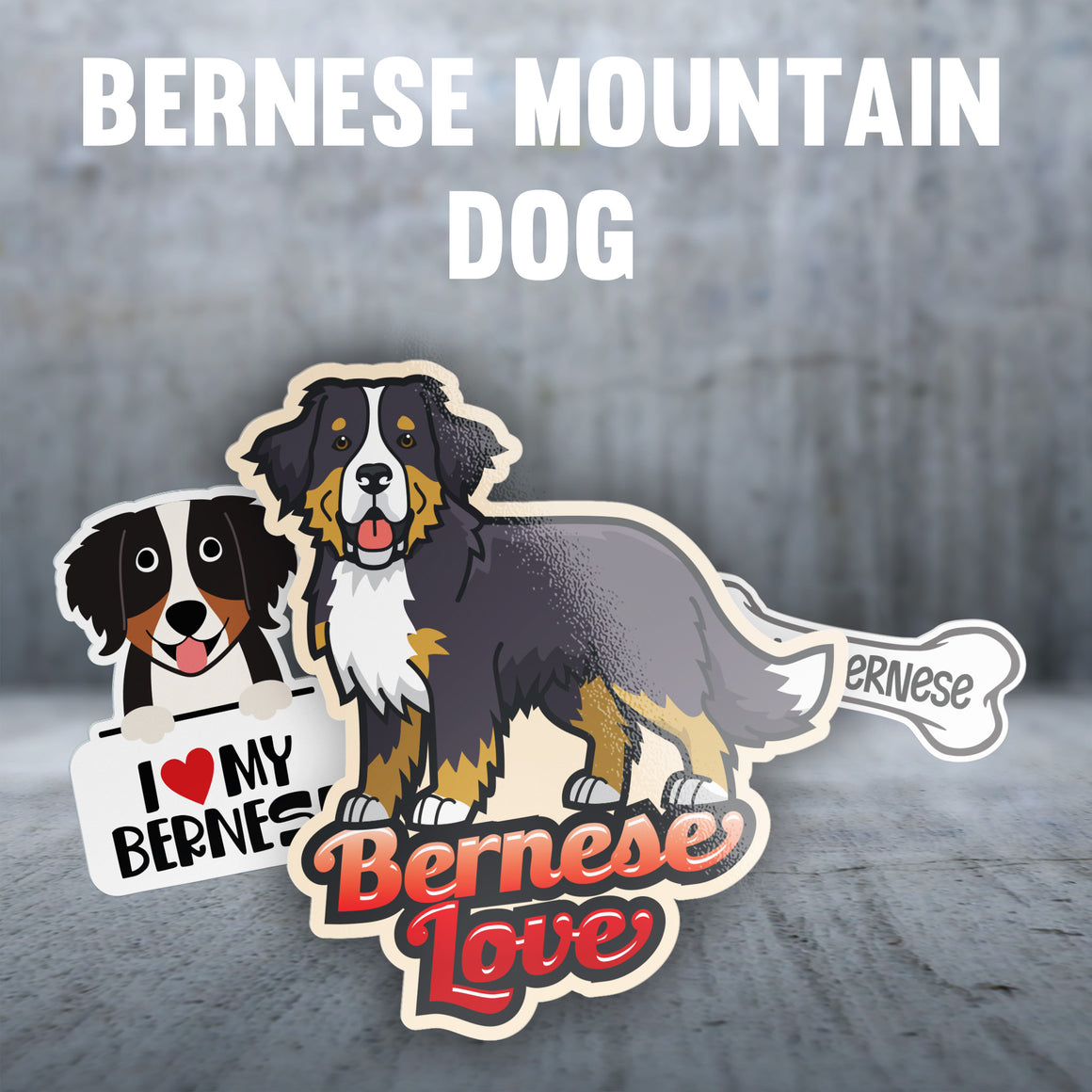 Bernese Mountain Dog