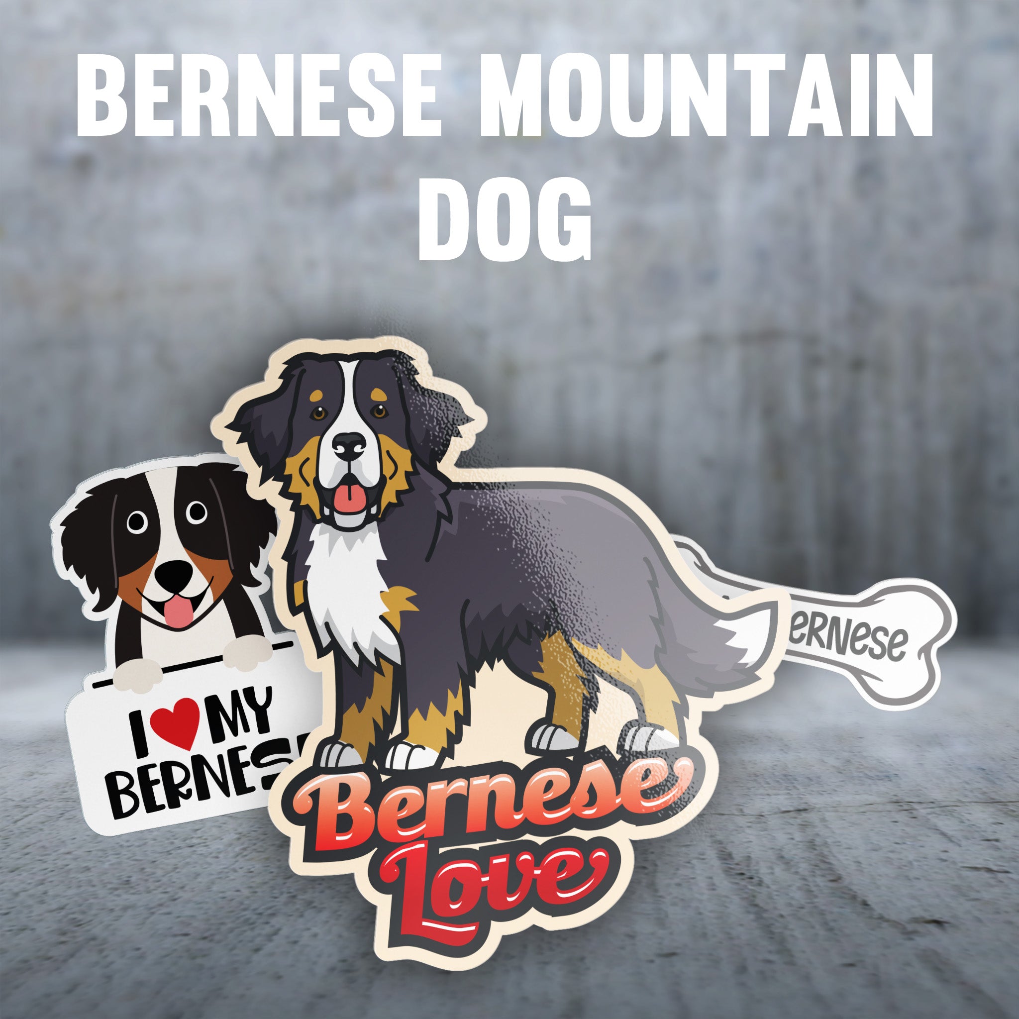 Bernese Mountain Dog