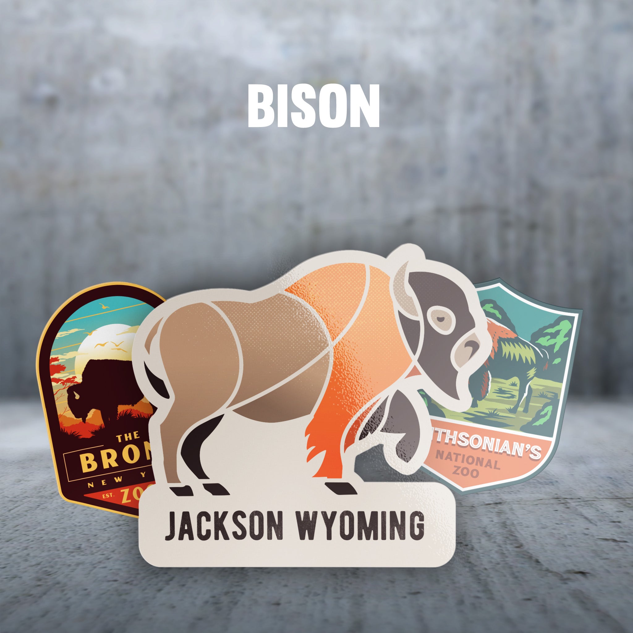 Bison