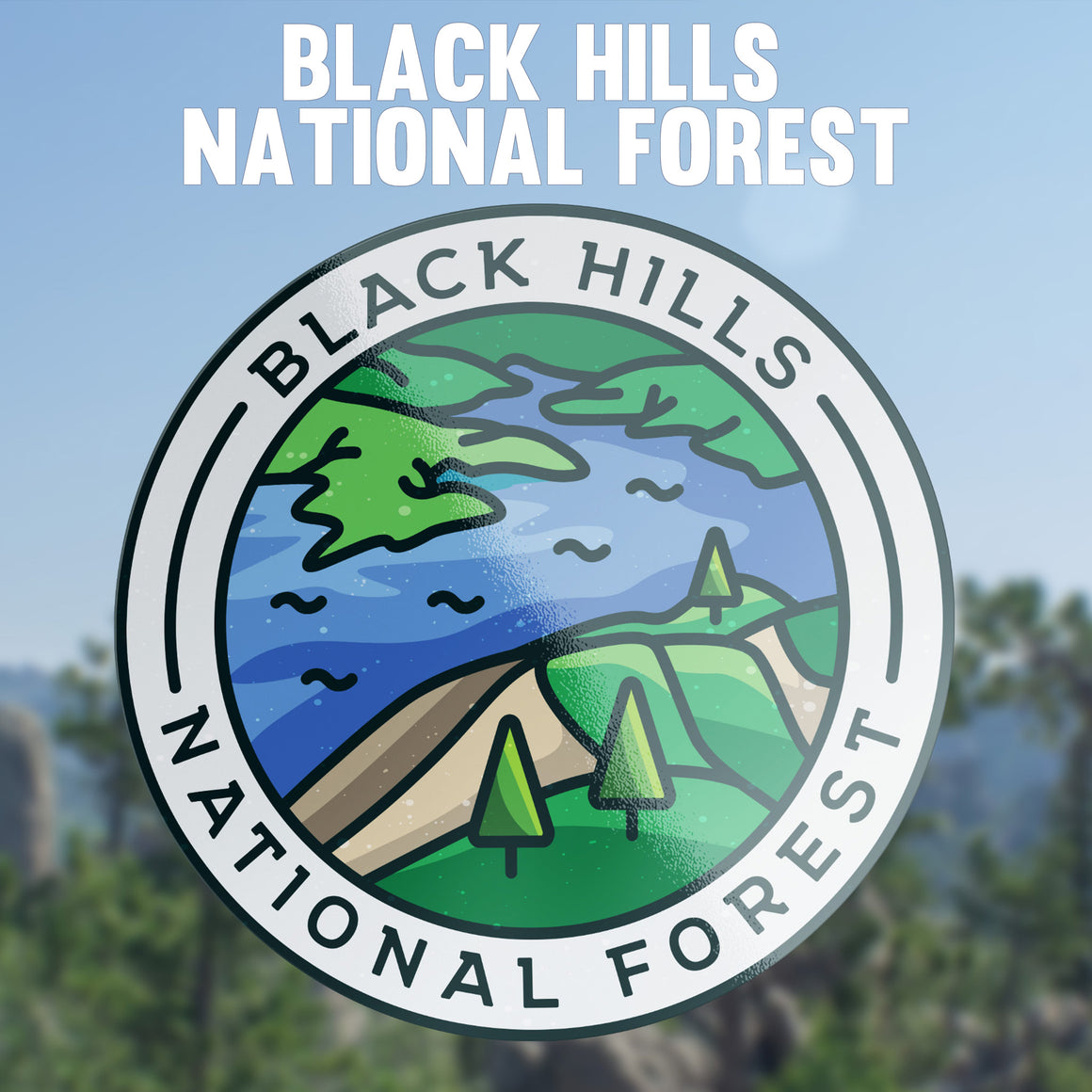 Black Hills National Forest