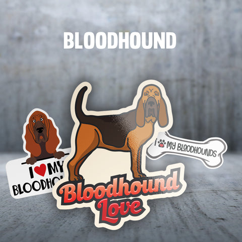 Bloodhound