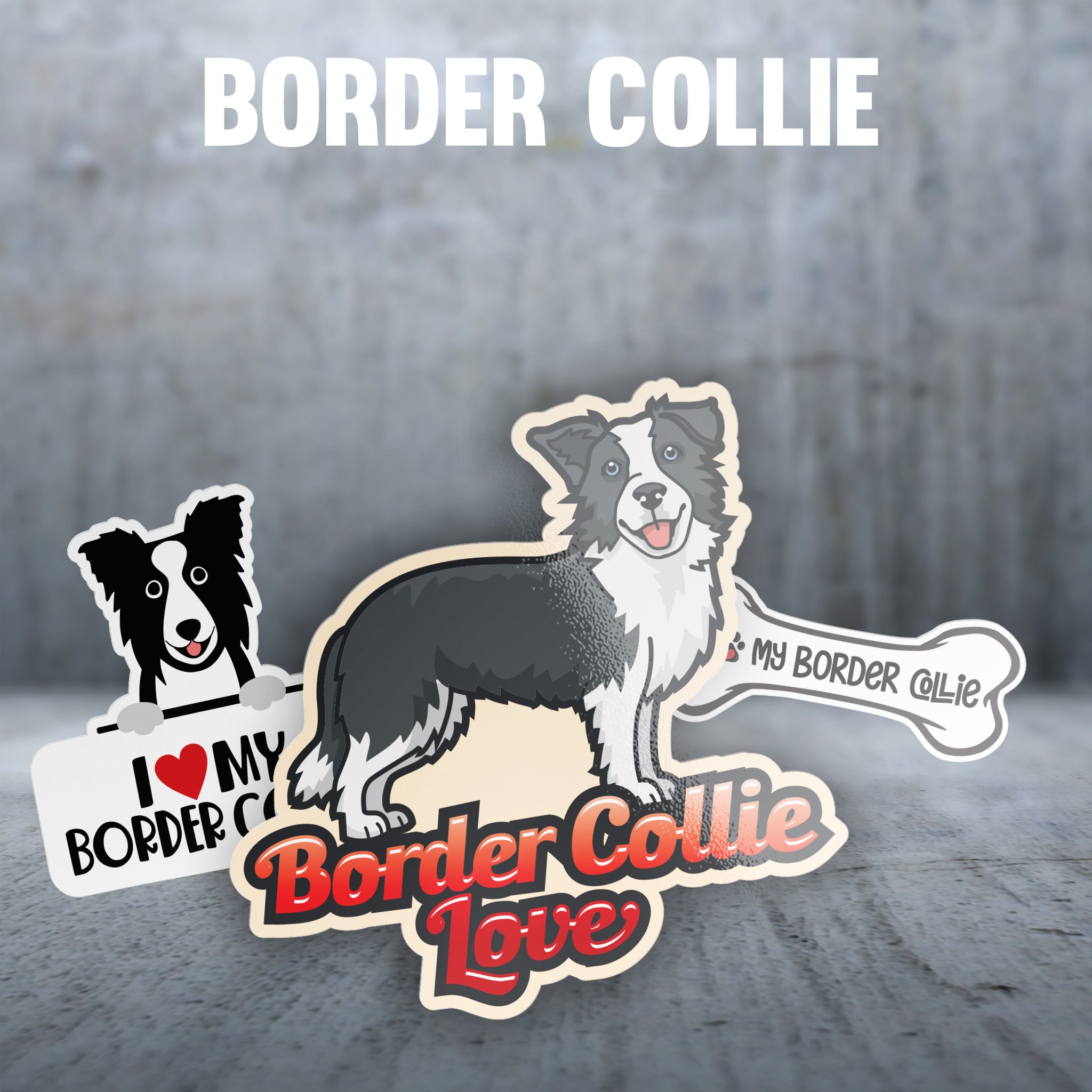 Border Collie