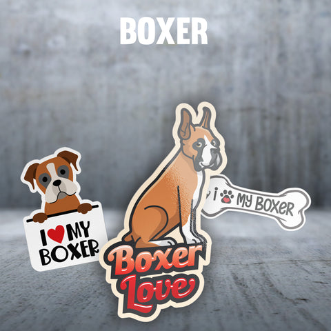 Boxer