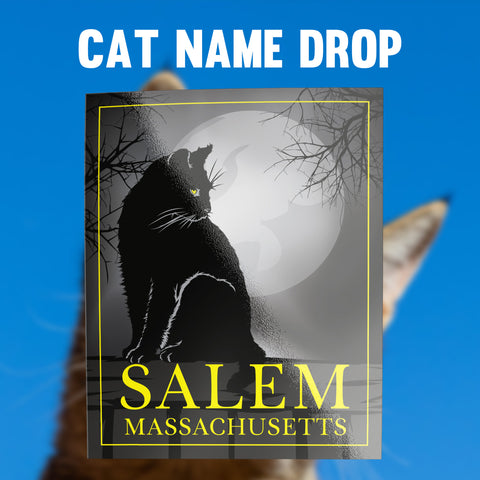 Cat Name Drop