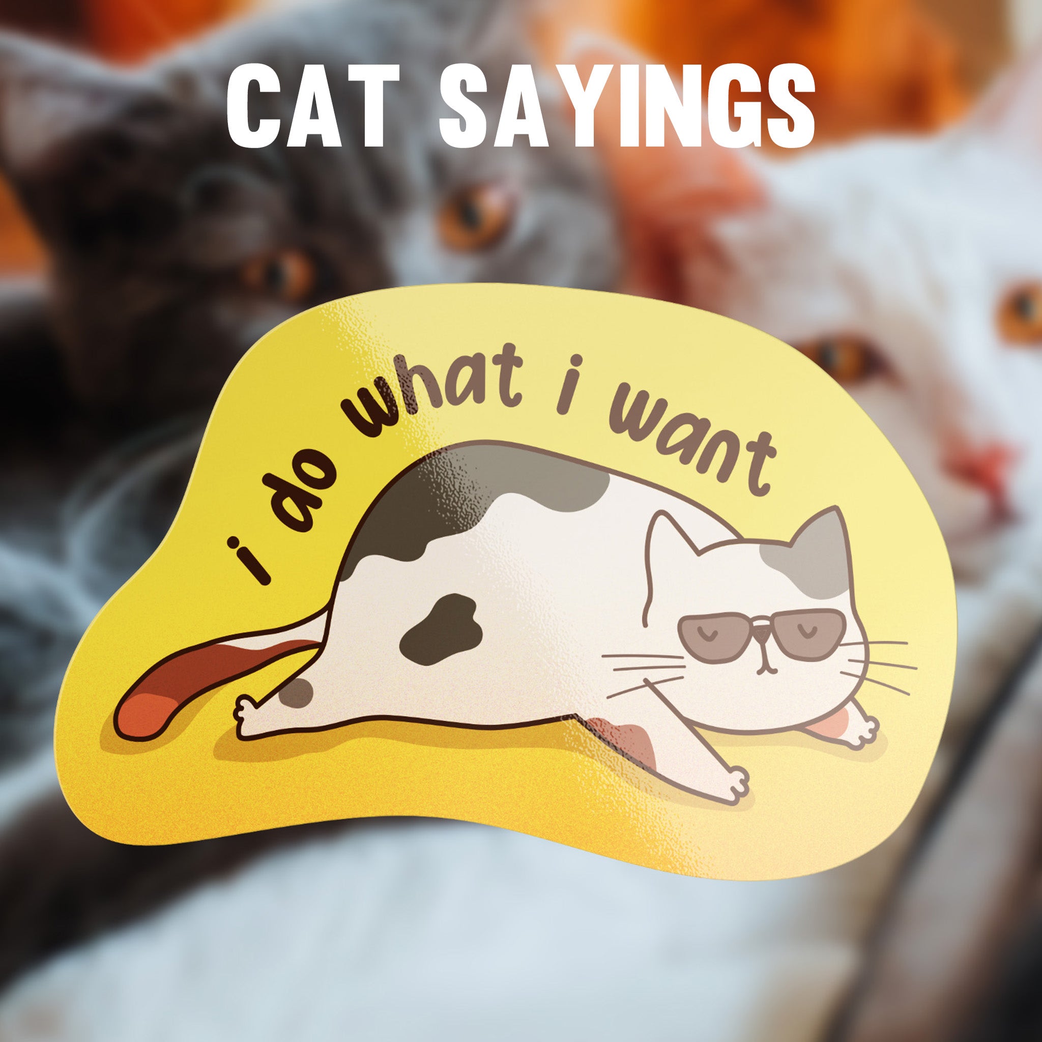 Cat Sayings