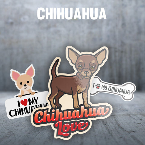 Chihuahua