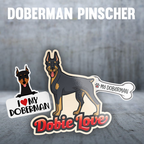 Doberman Pinscher