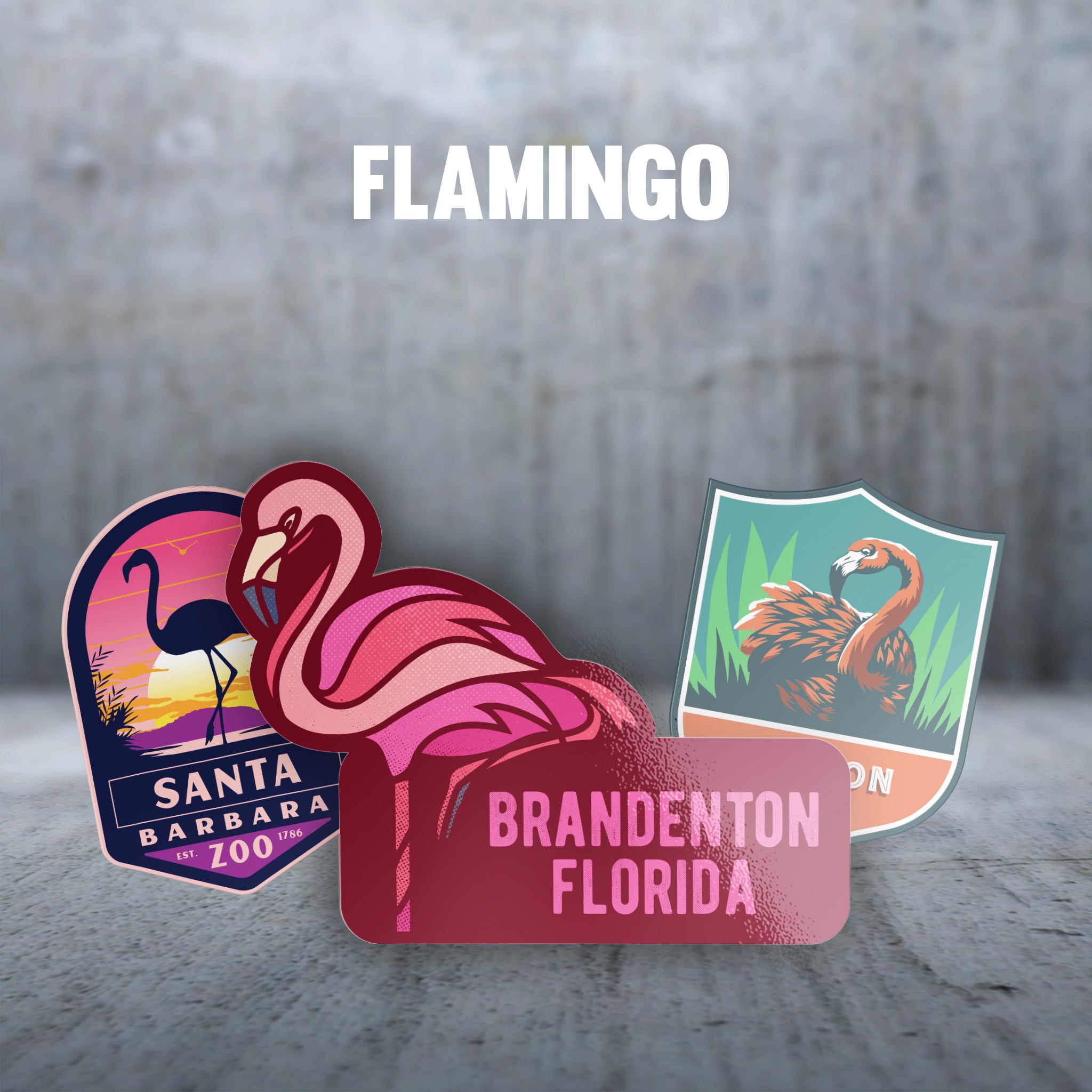 Flamingo