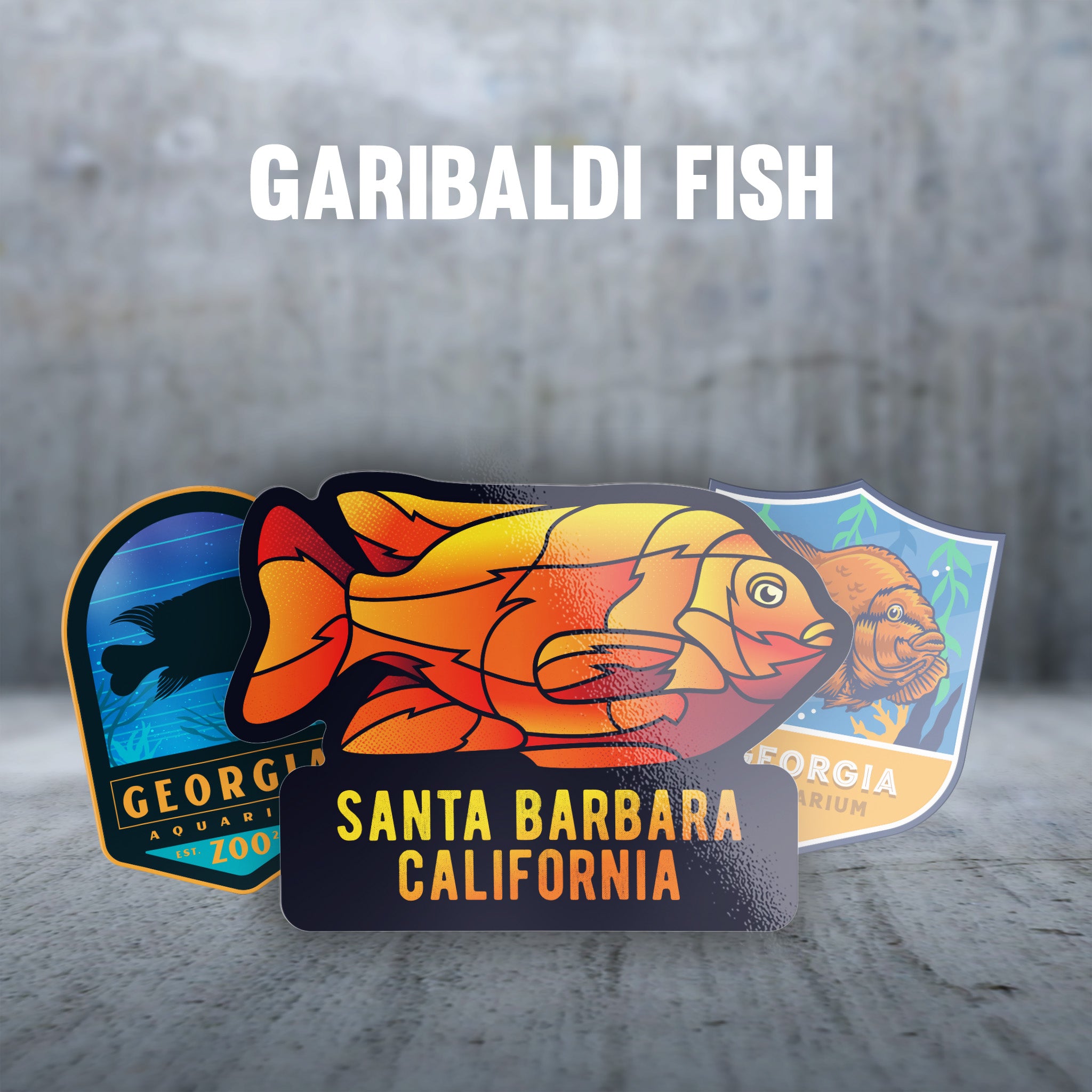 Garibaldi Fish