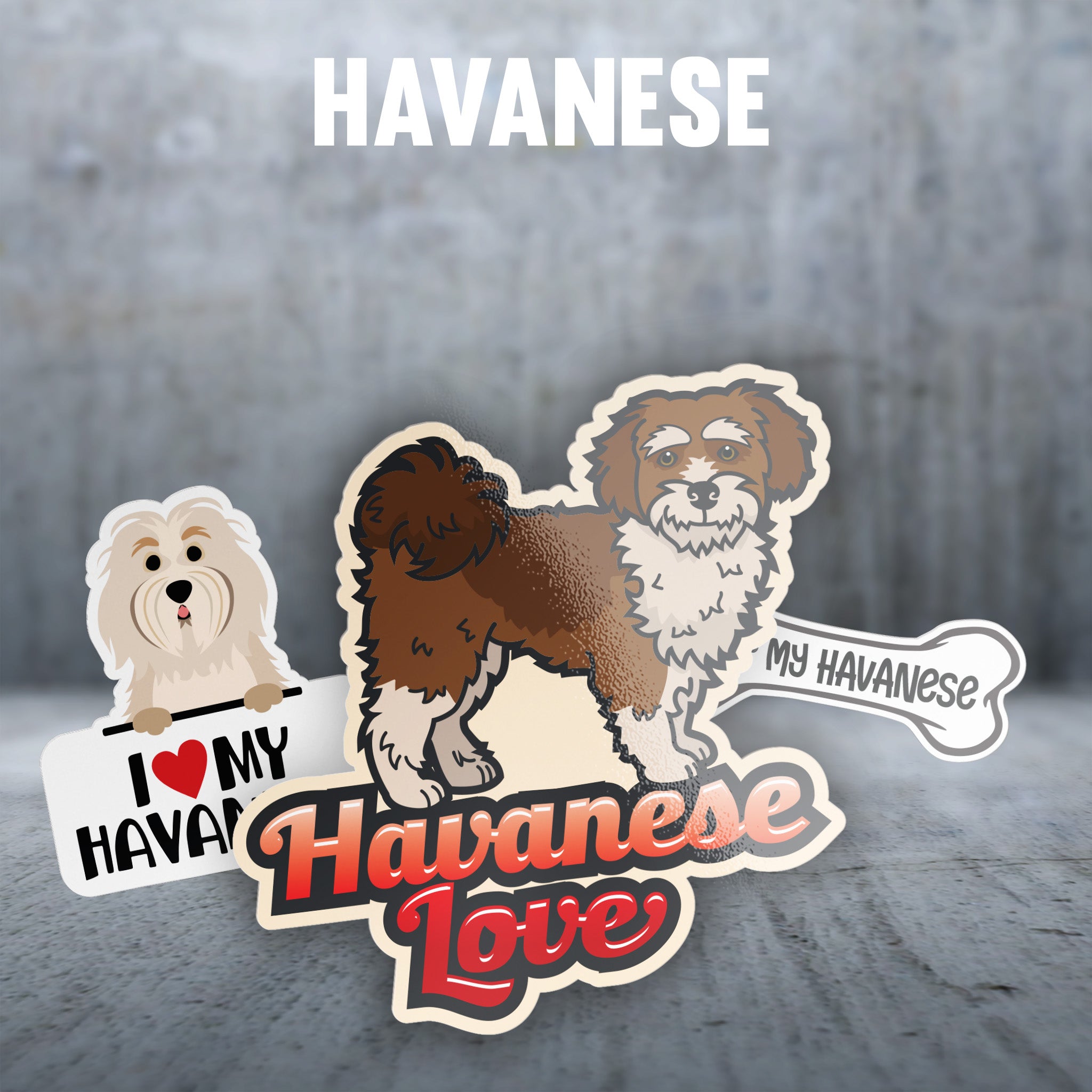 Havanese