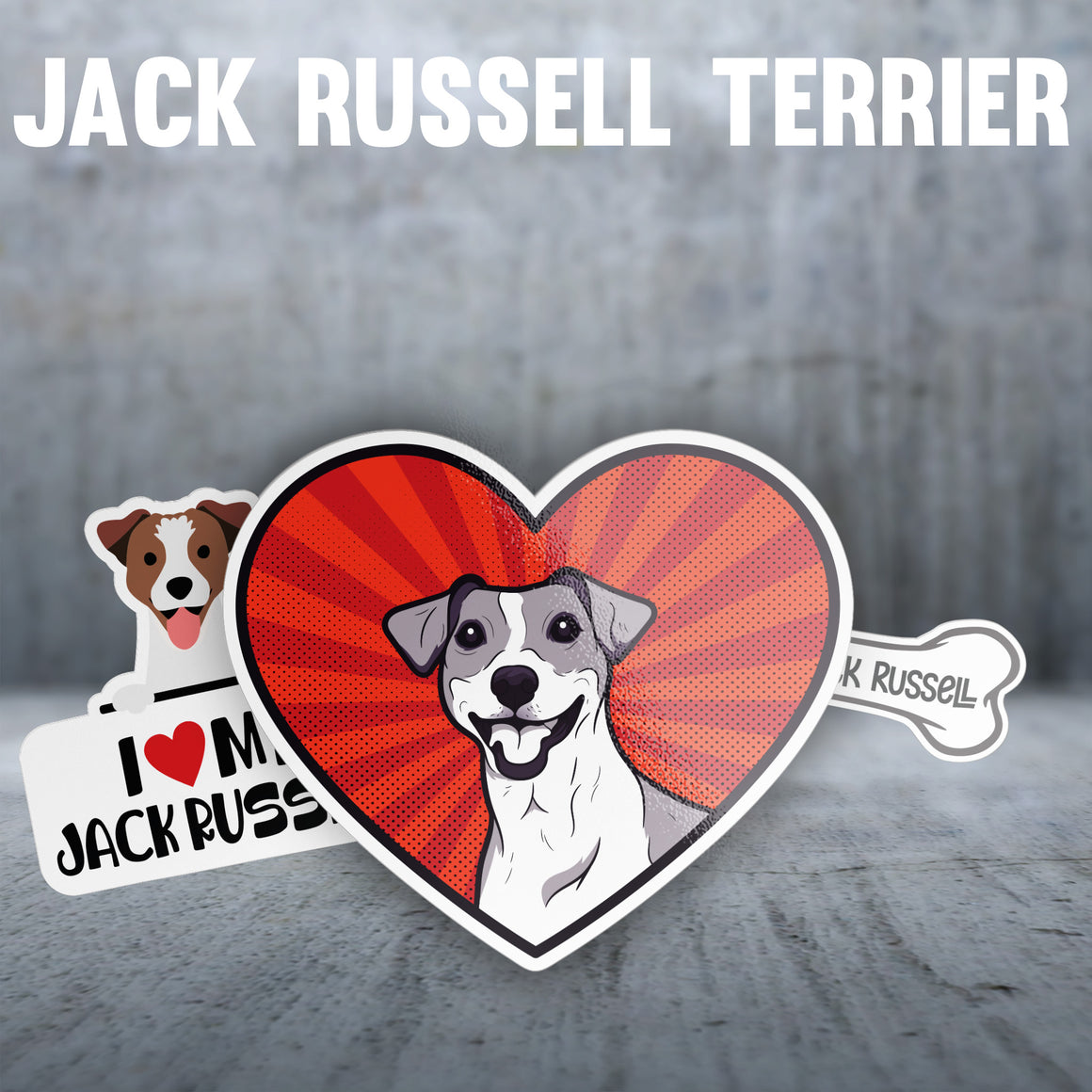 Jack Russell Terrier