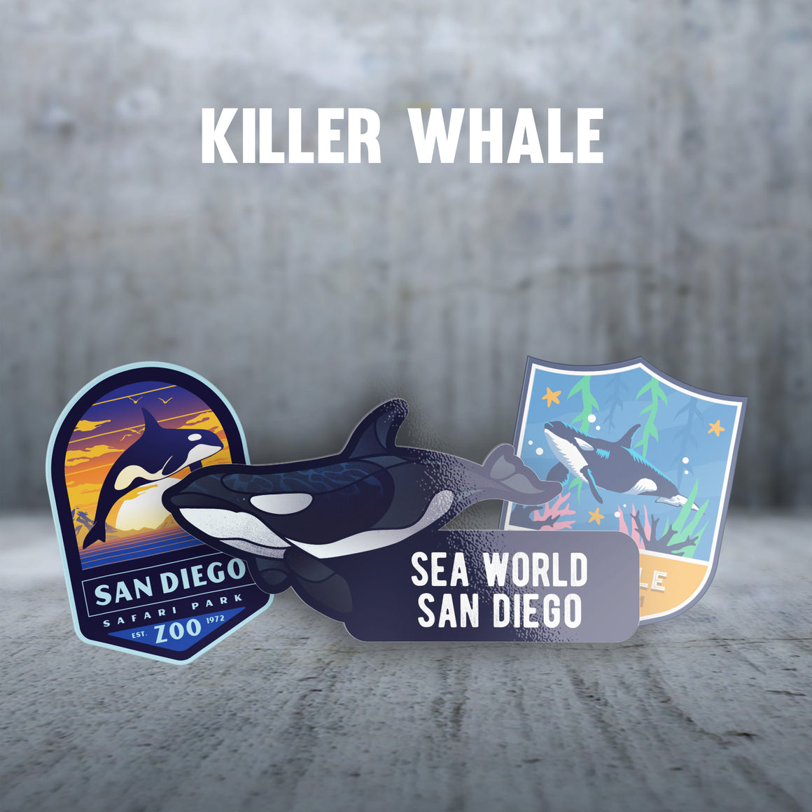 Killer Whale