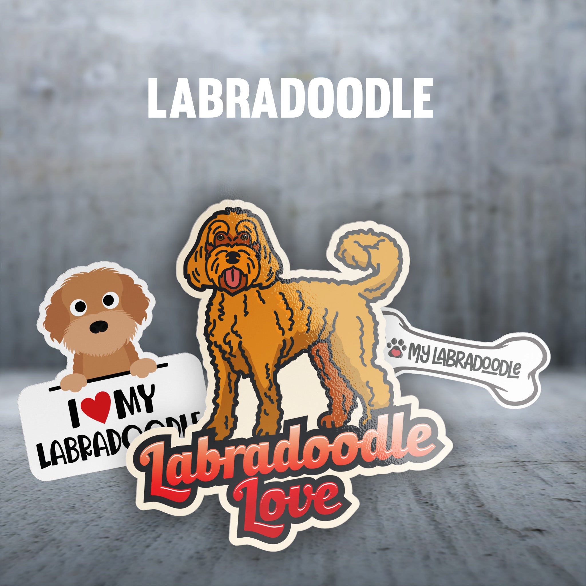 Labradoodle