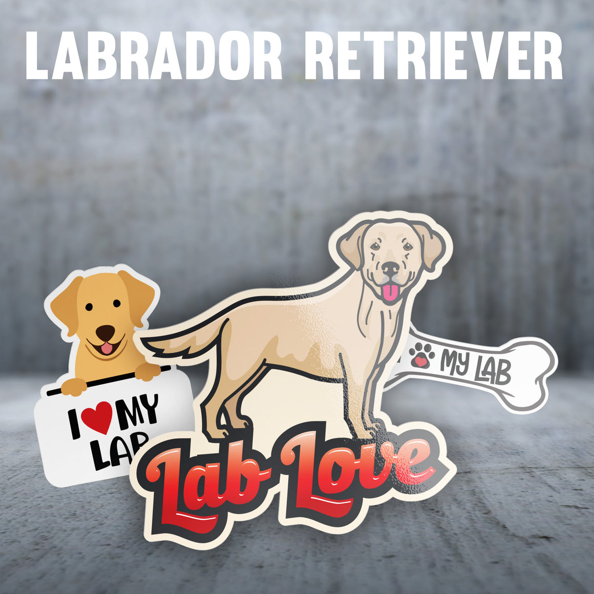 Labrador Retriever