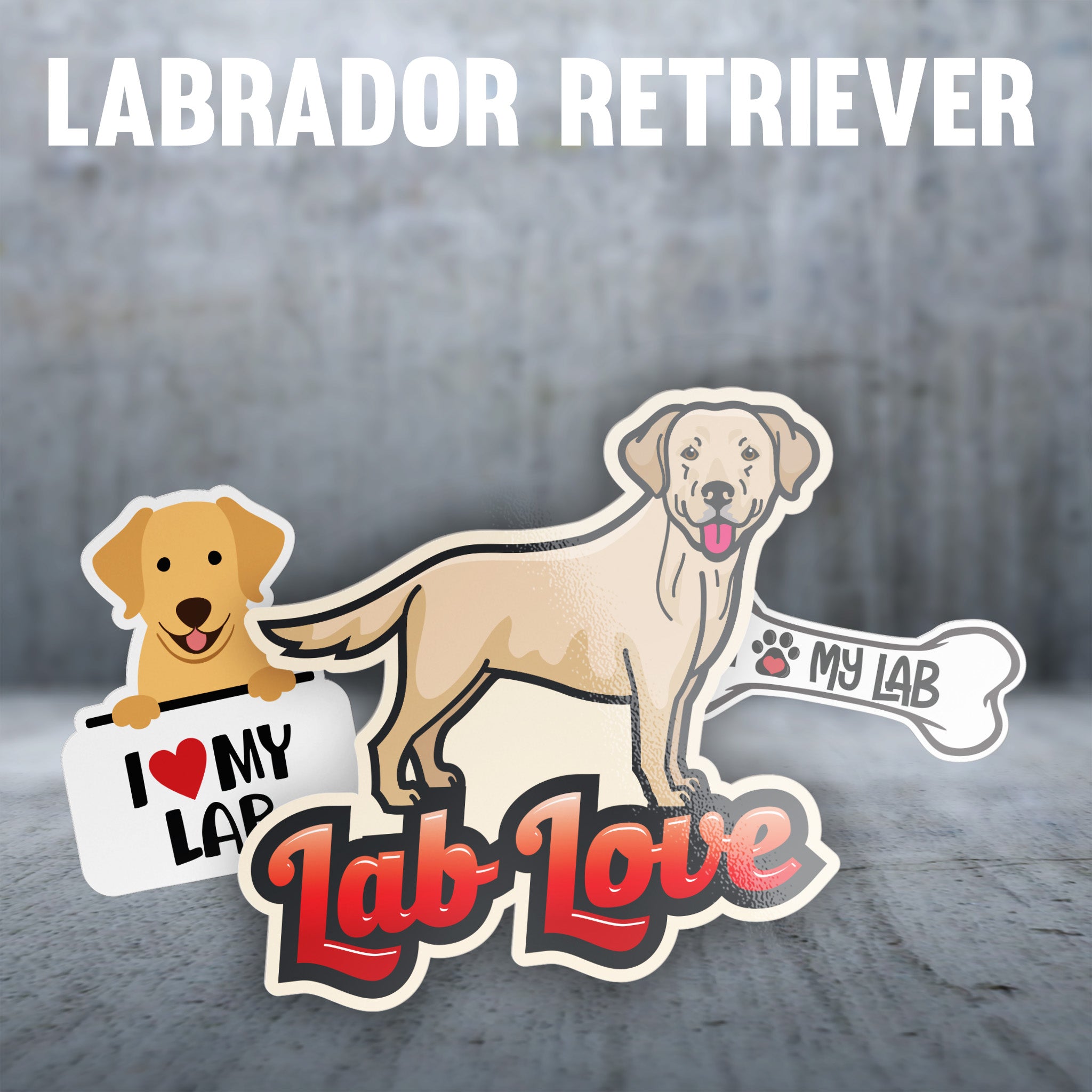Labrador Retriever