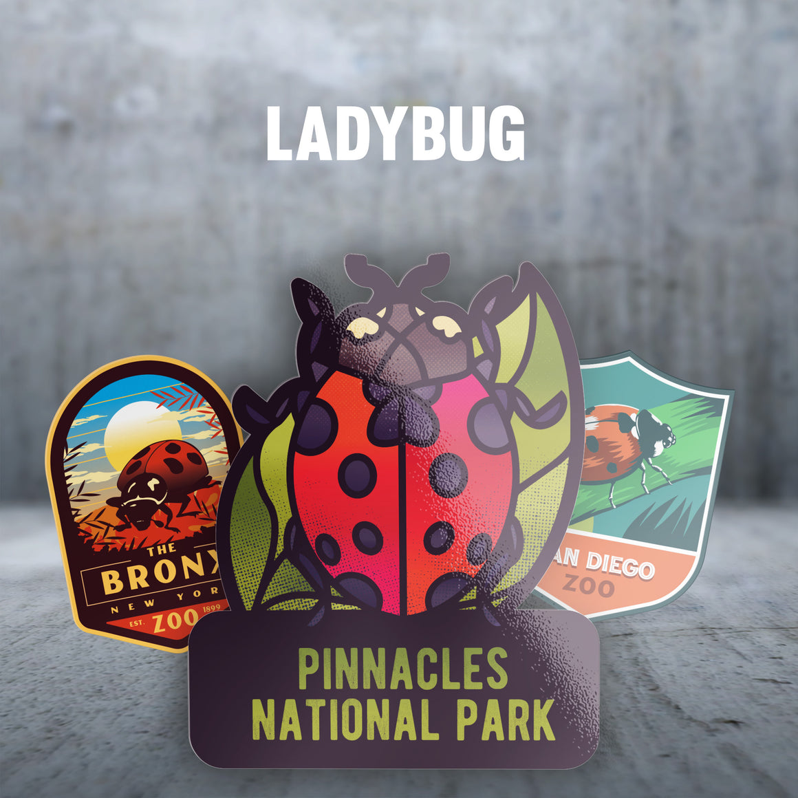 Ladybug