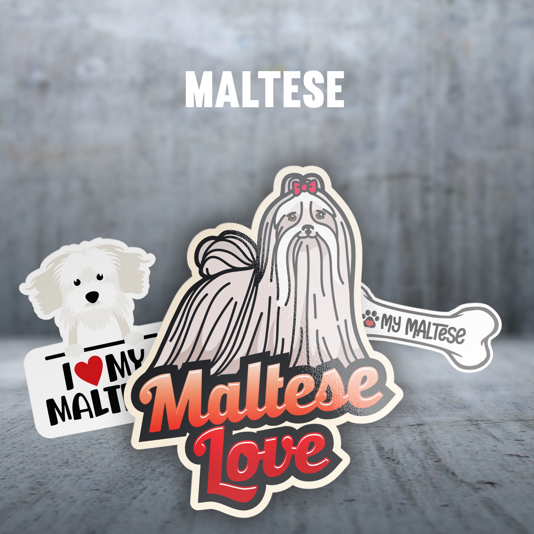 Maltese