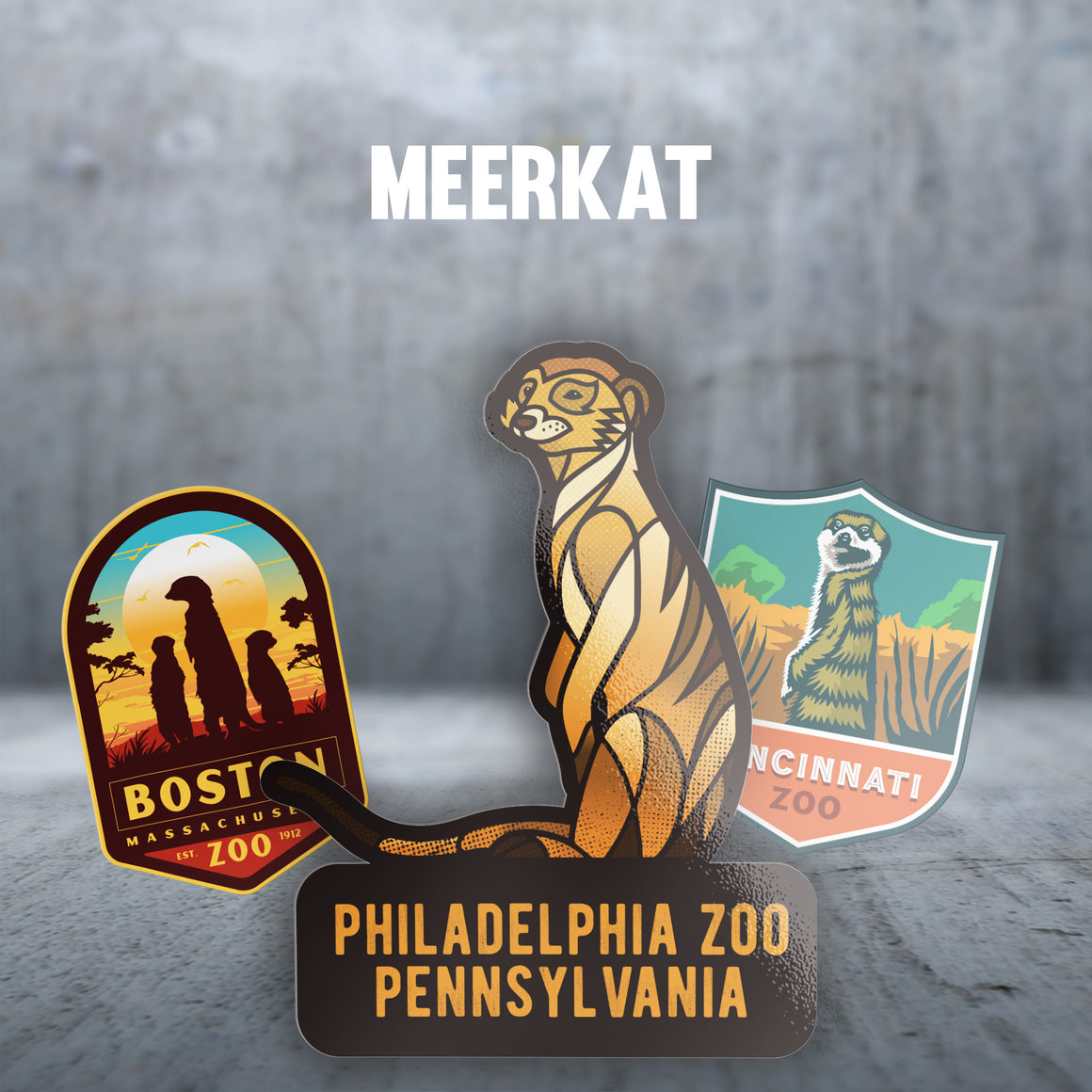 Meerkat