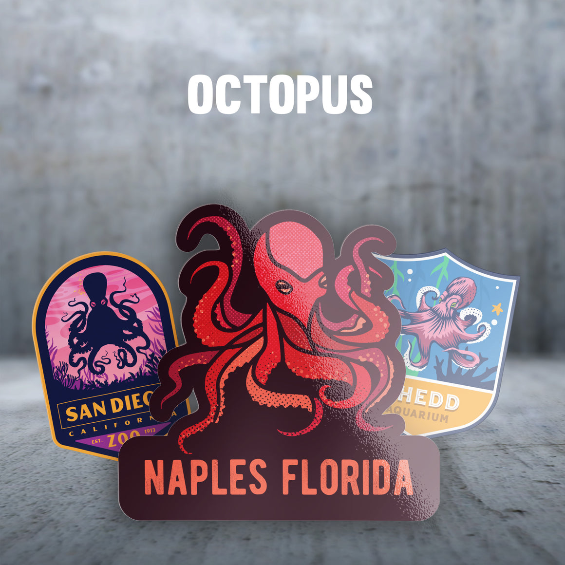 Octopus