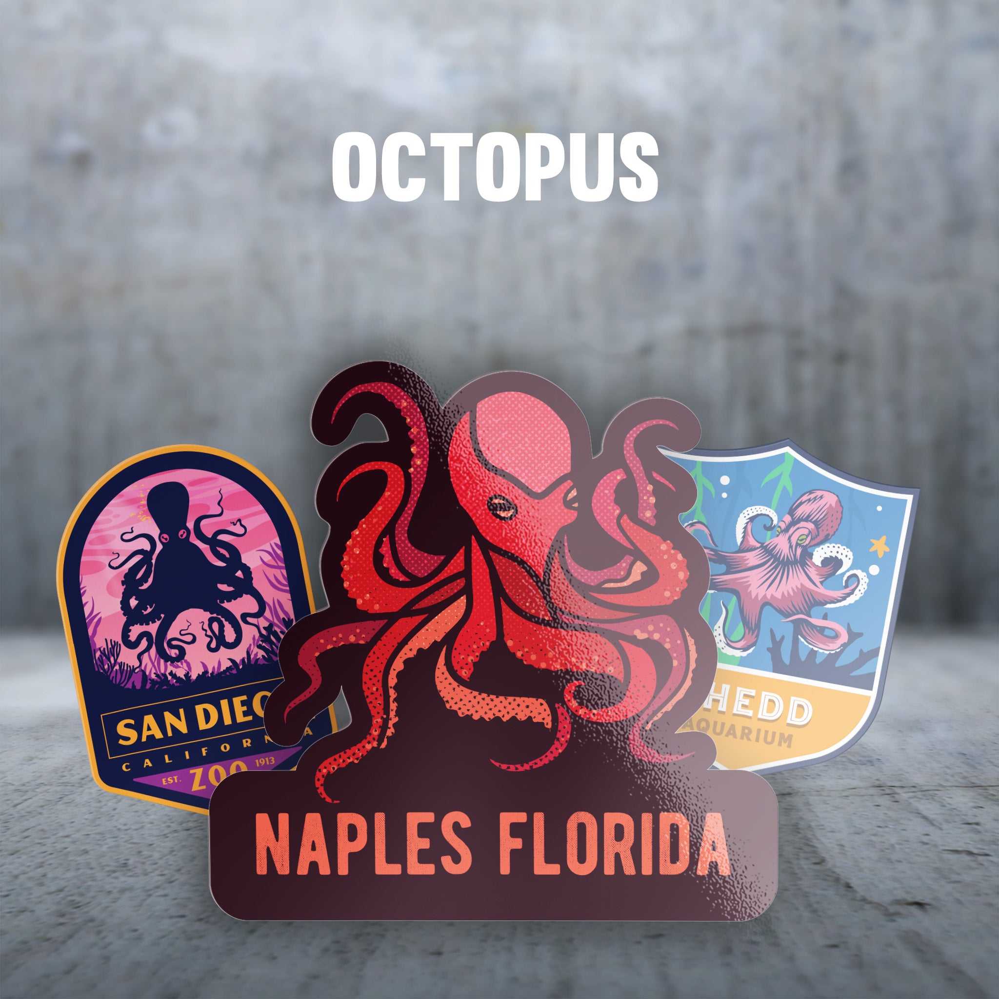 Octopus