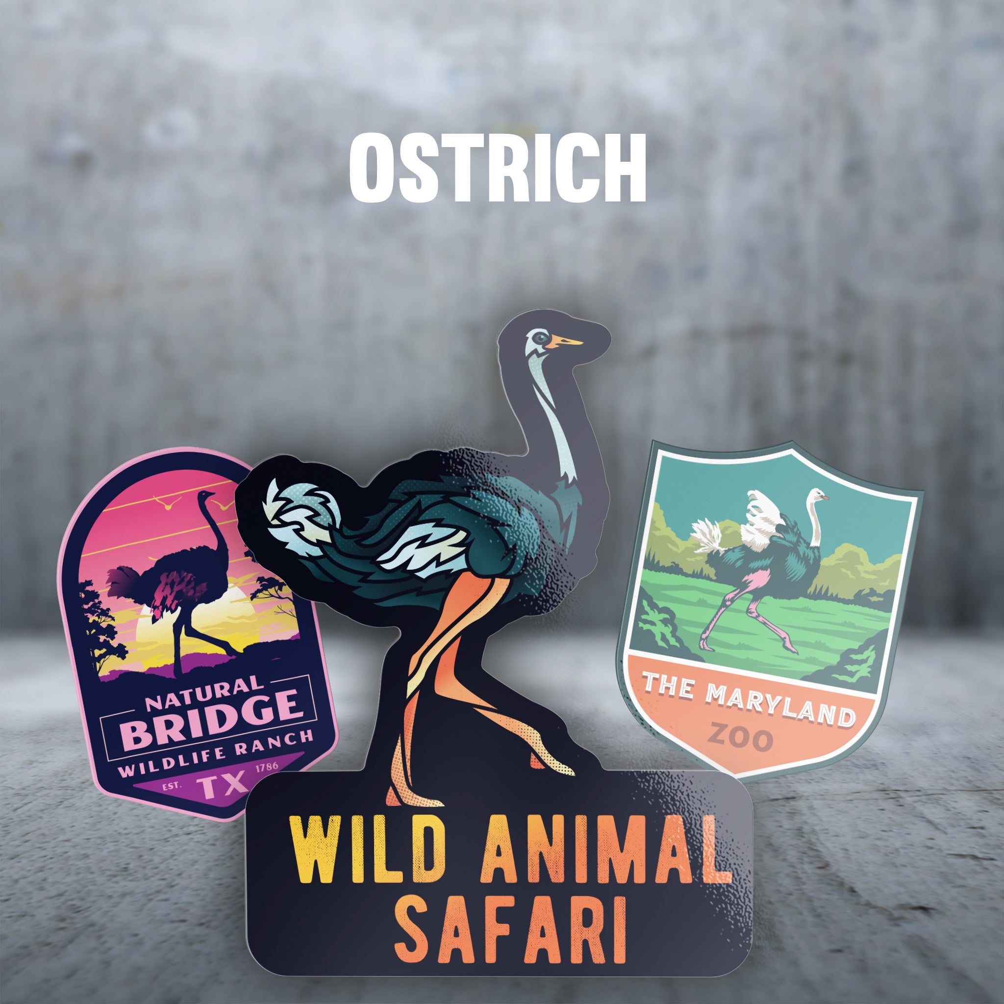 Ostrich