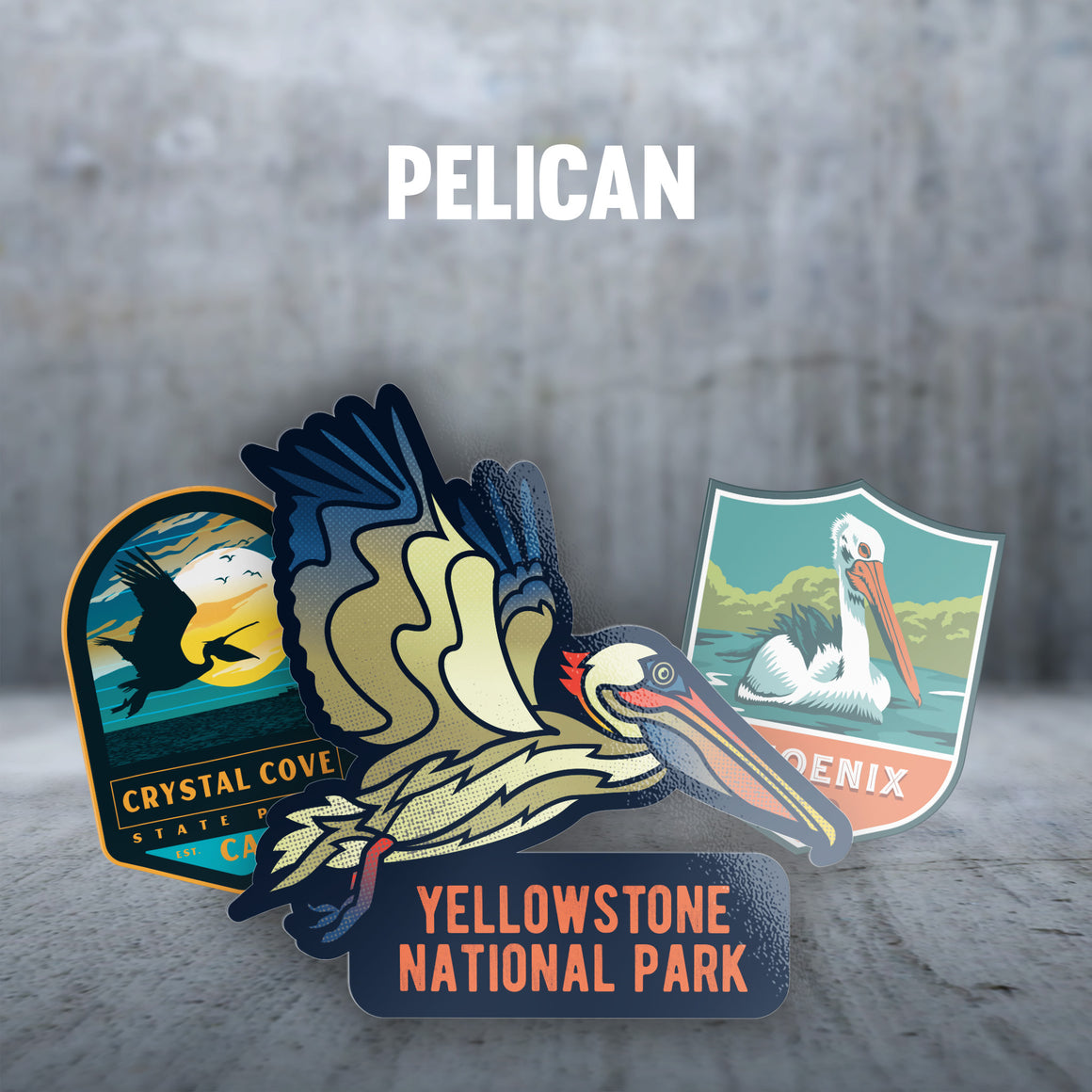 Pelican