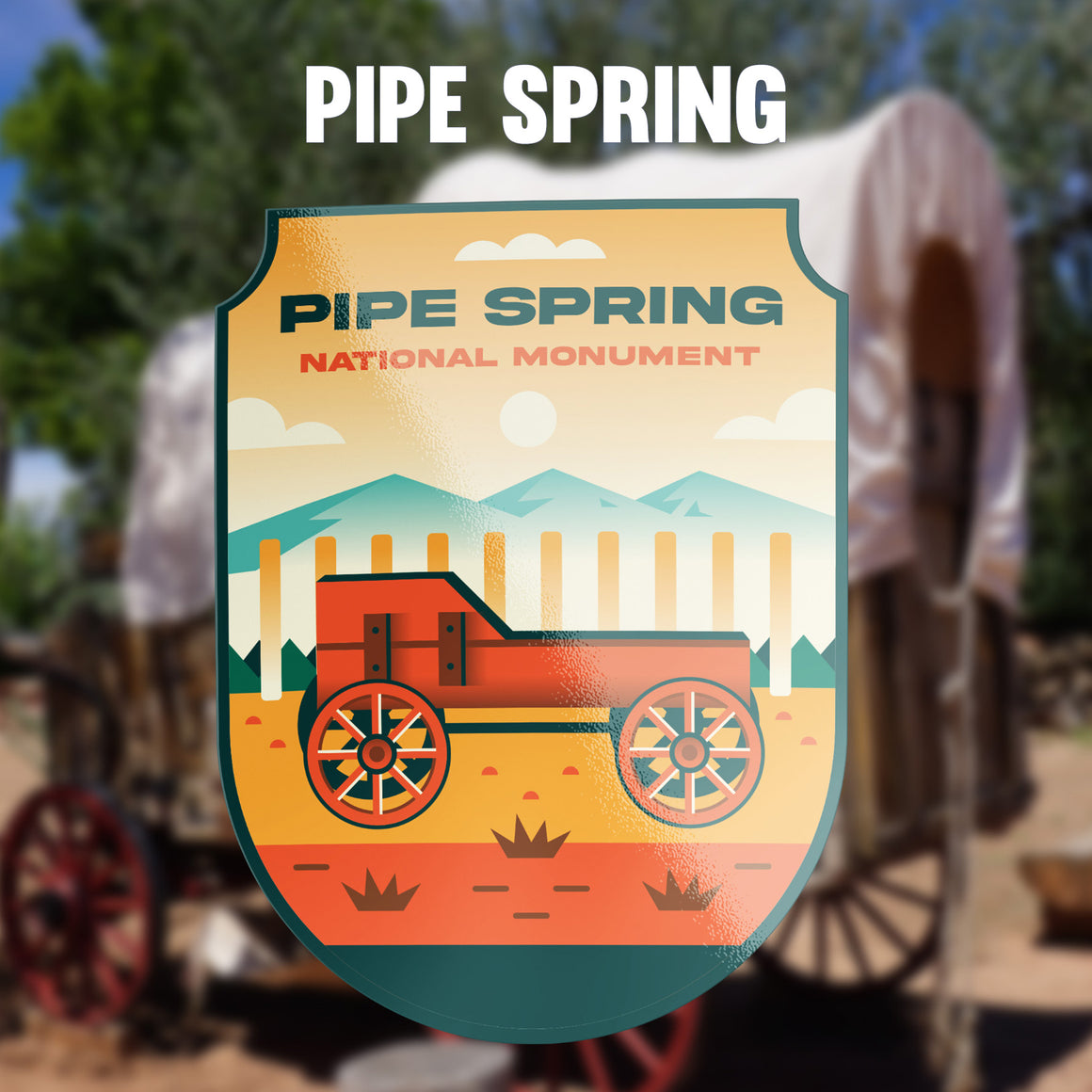 Pipe Spring