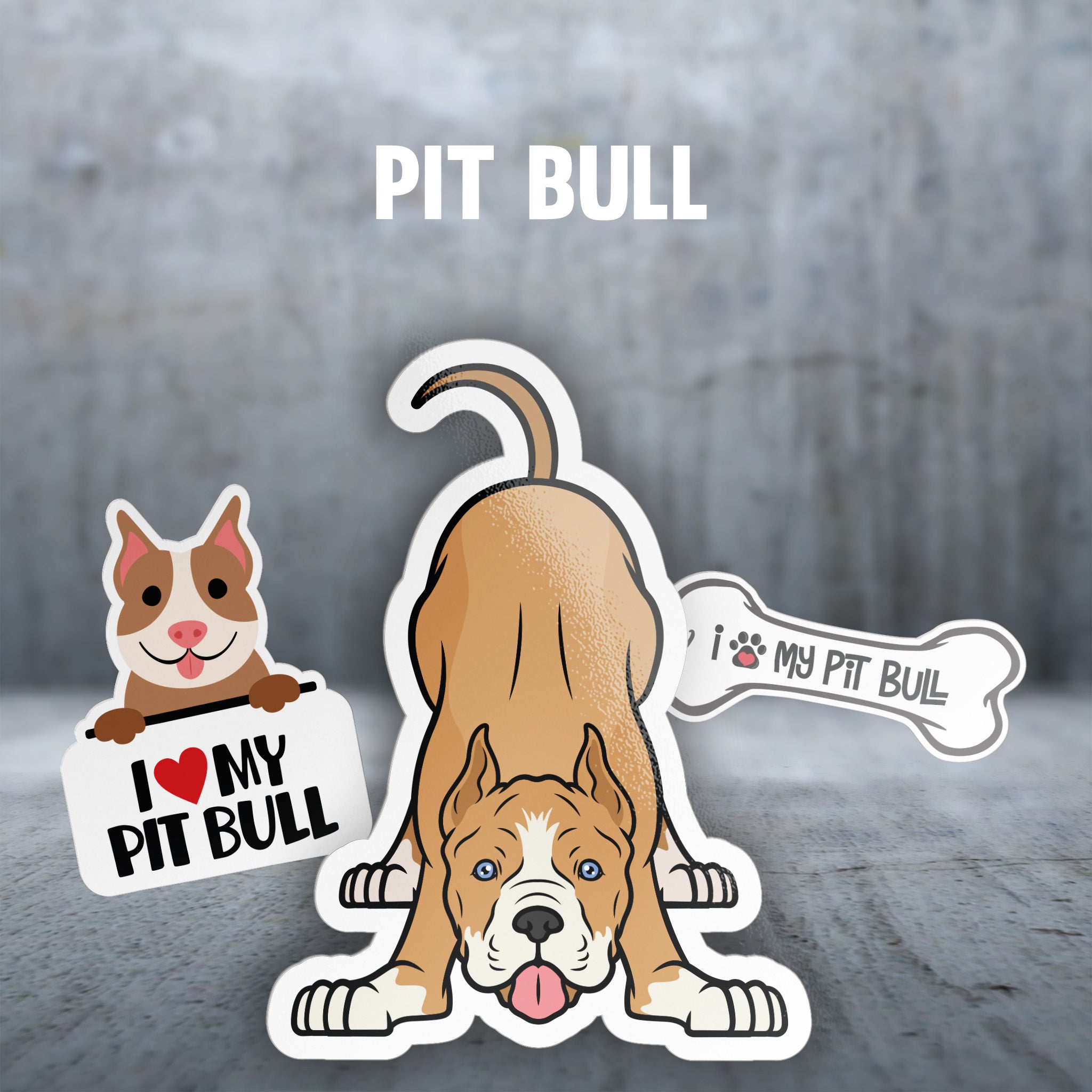 Pit Bull
