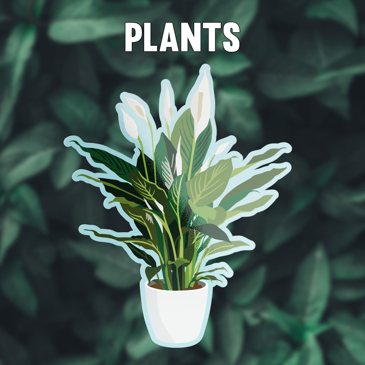 Plants