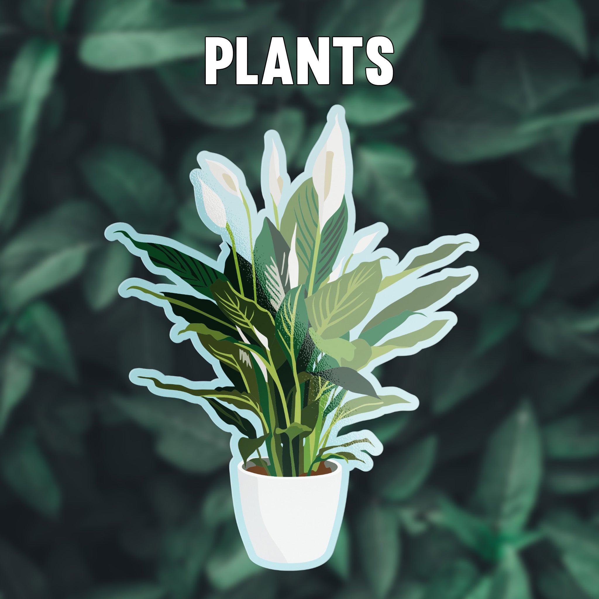 Plants