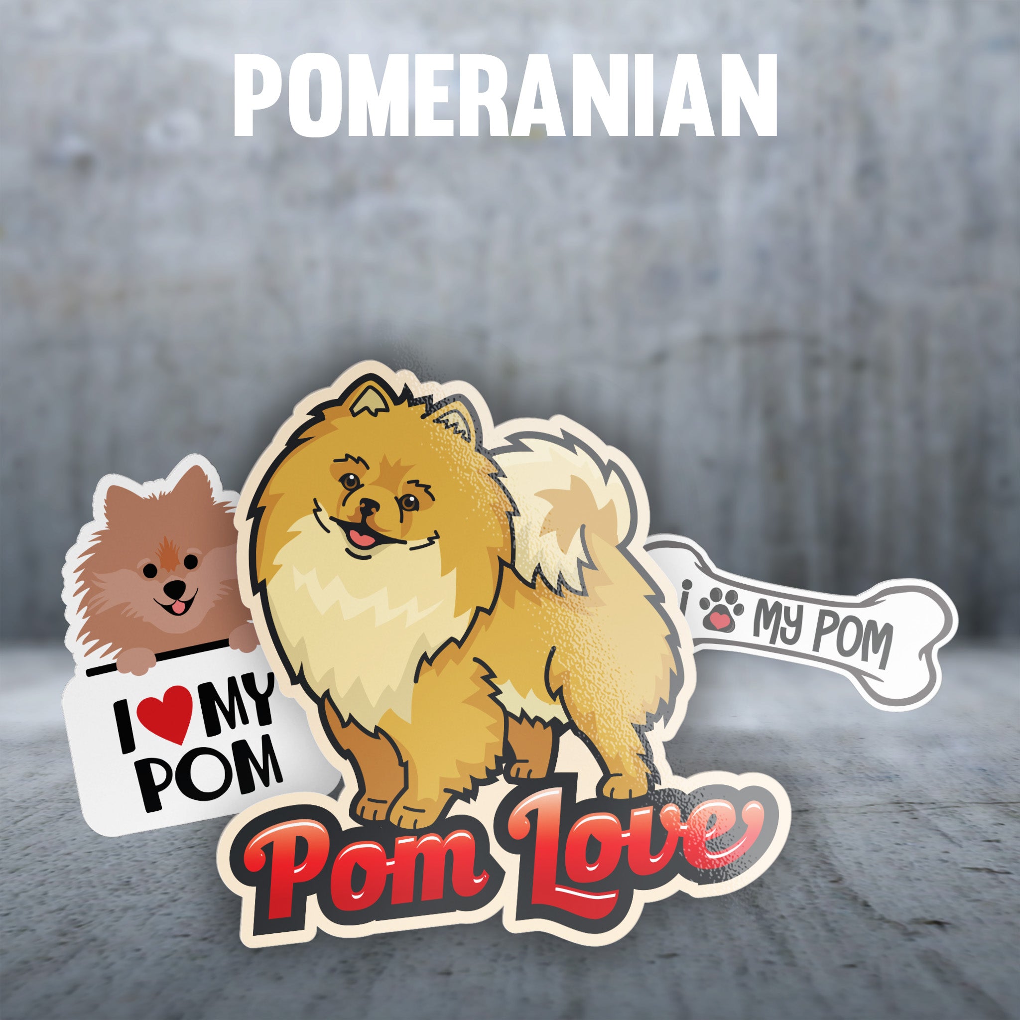 Pomeranian