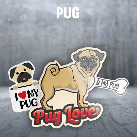 Pug