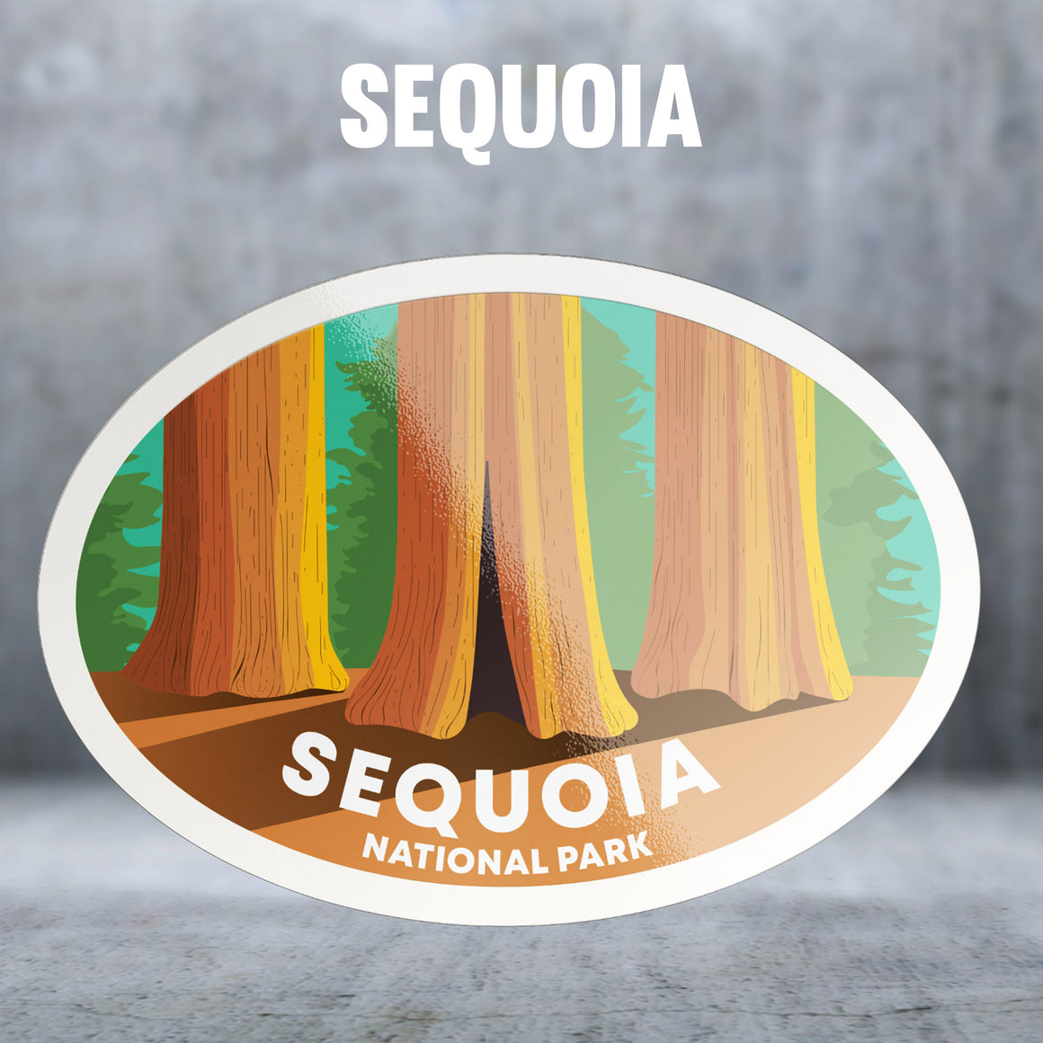 Sequoia