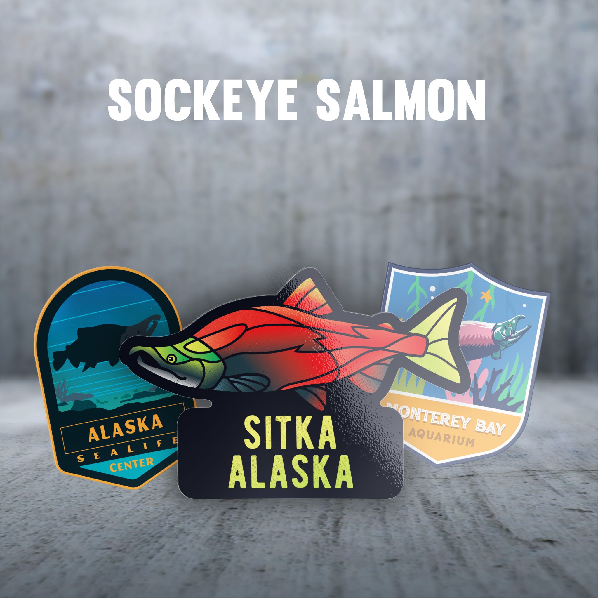 Sockeye Salmon
