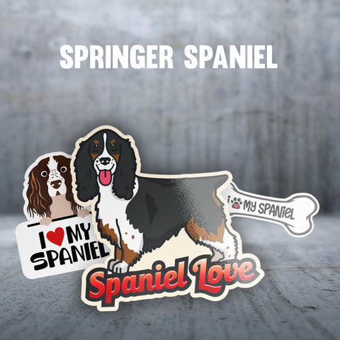 Springer Spaniel