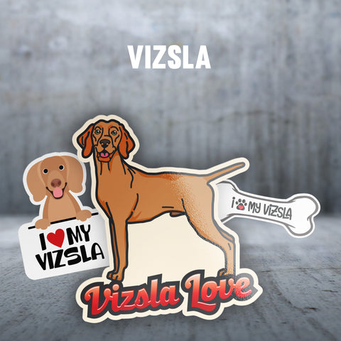 Vizsla