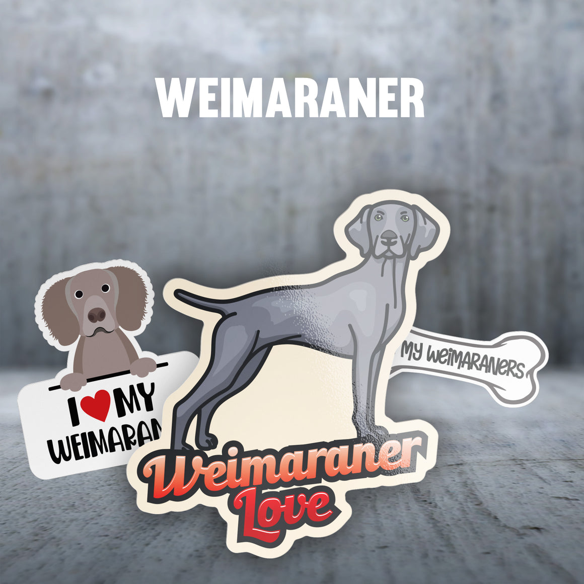 Weimaraner
