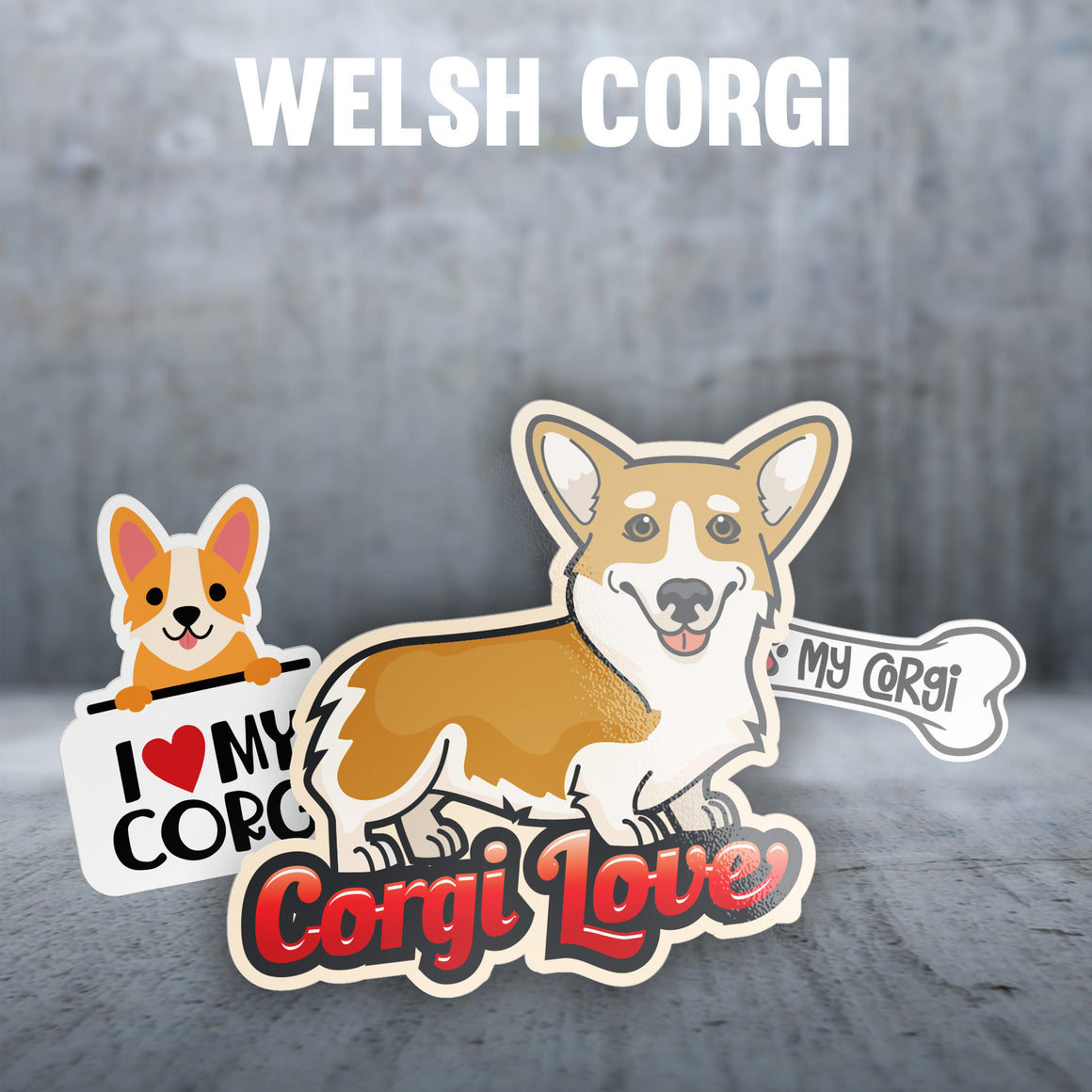 Pembroke Welsh Corgi