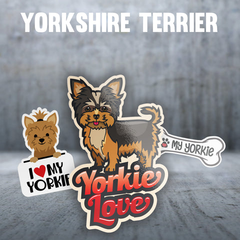 Yorkshire Terrier