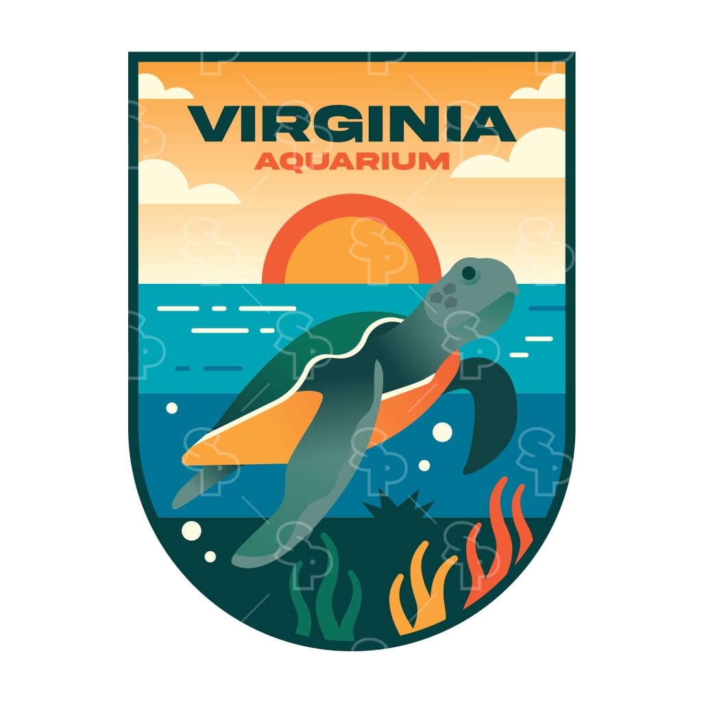 12393 - Gradient Highlights Sea Turtle