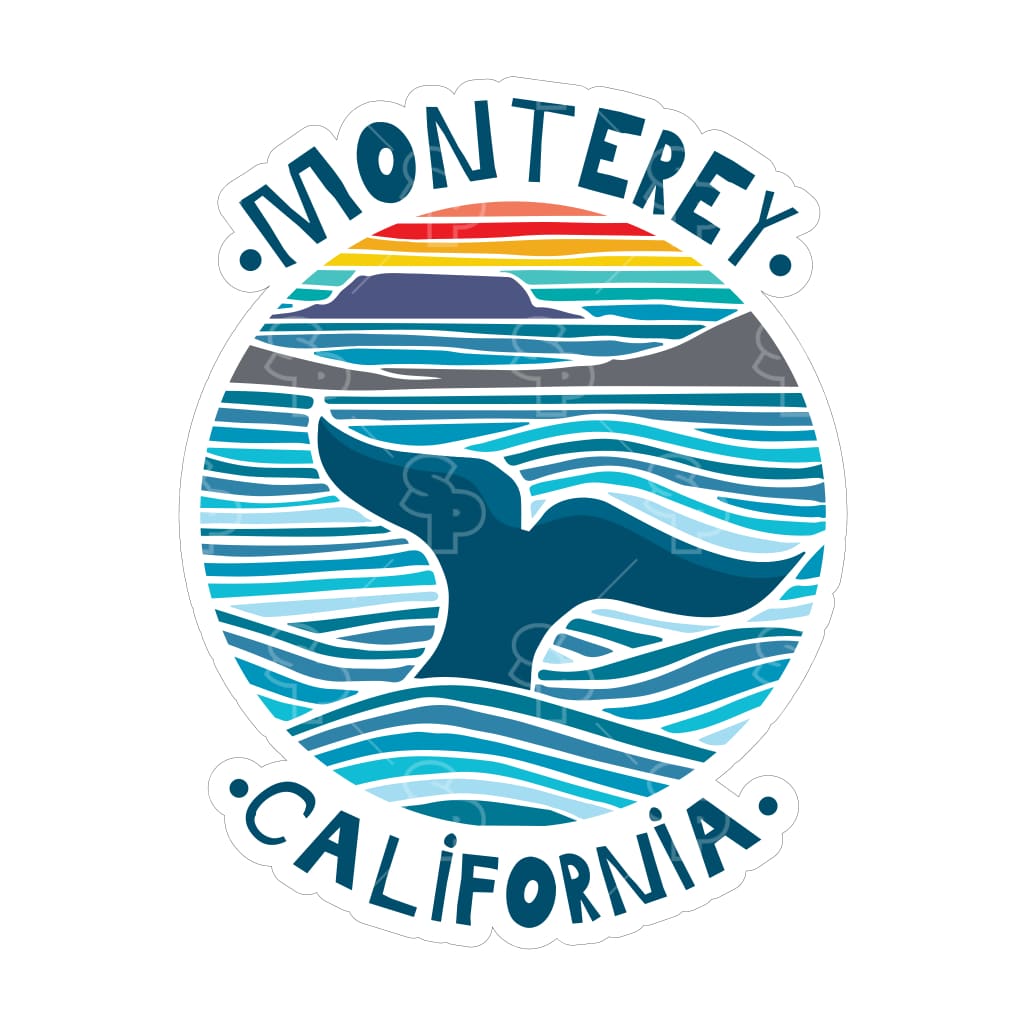 13902 - Whale Tail Rainbow