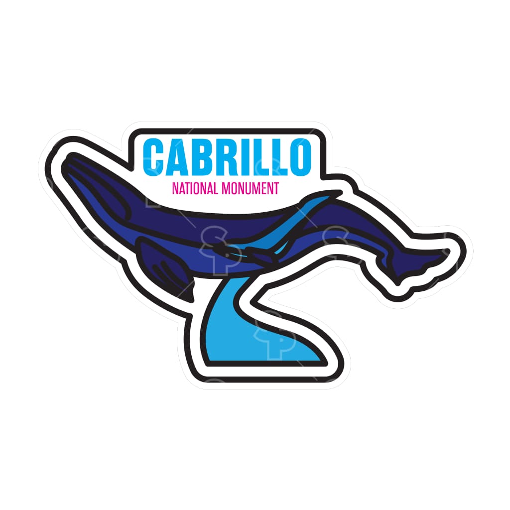 14438 - Cabrillo Whale