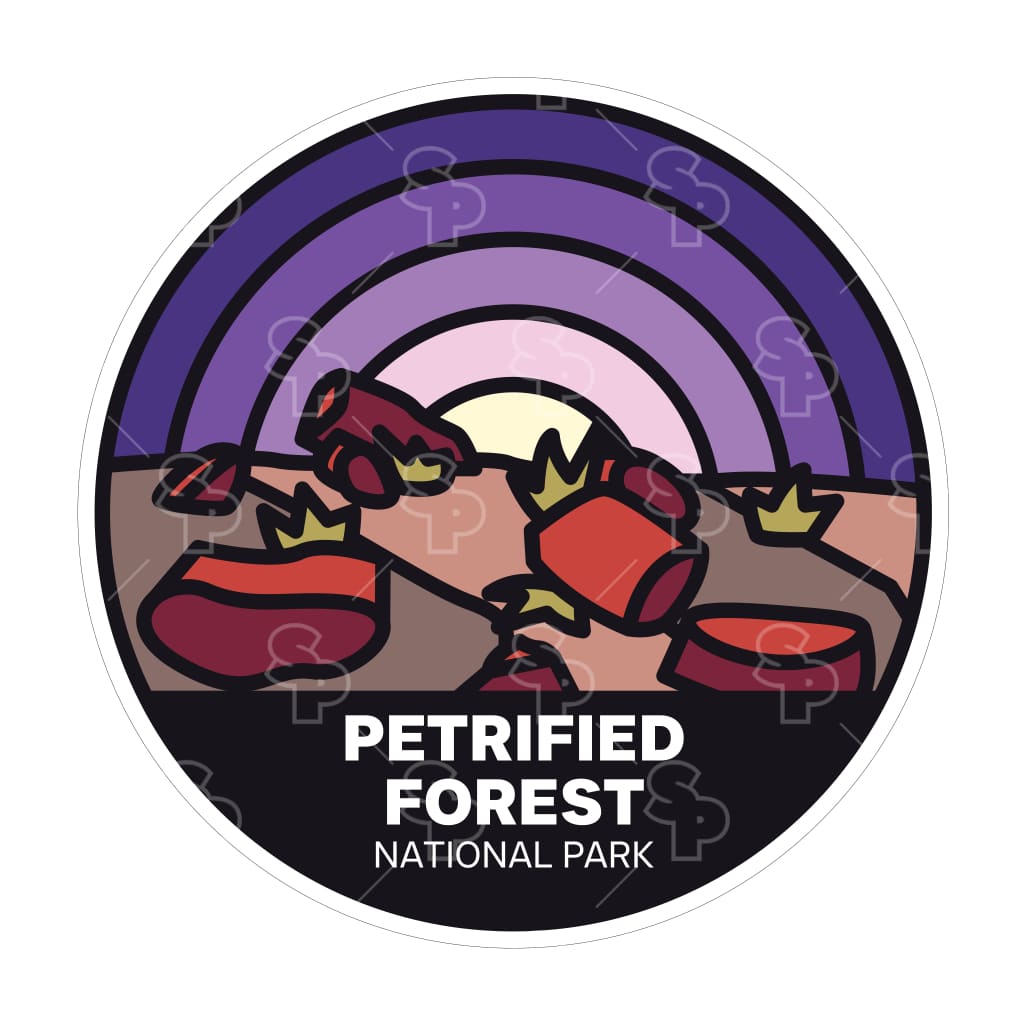 17942 - Bold Nature - Petrified Forest